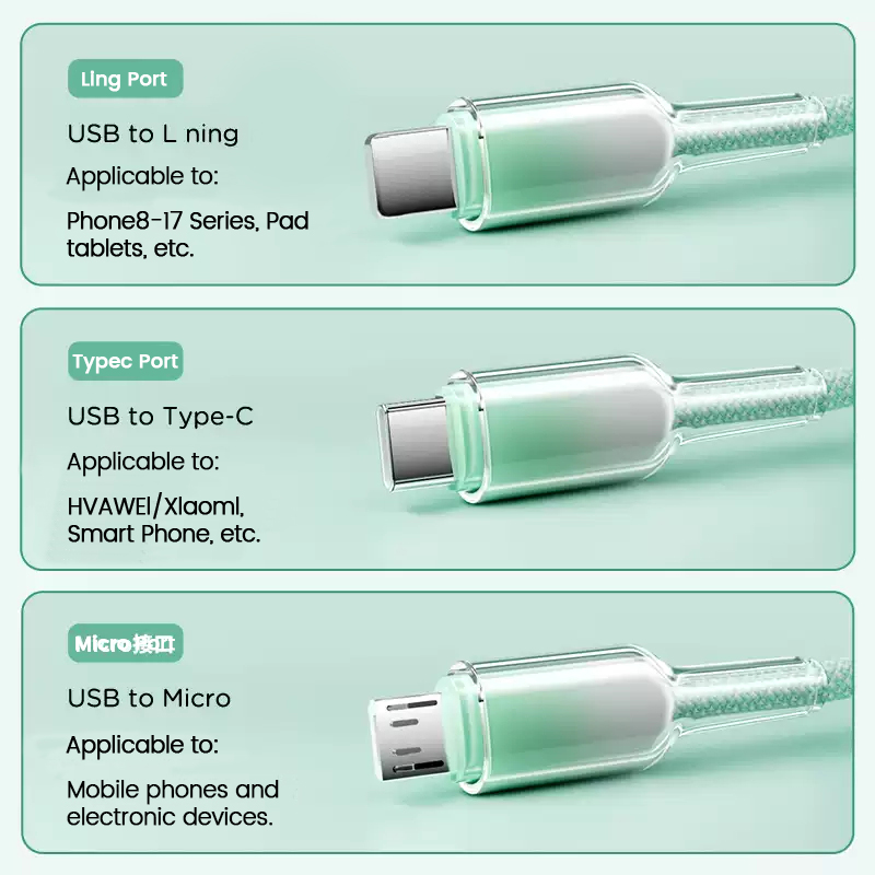 Type-C Cable (4)